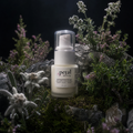 Pomegranate Eye Gel